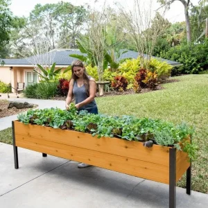 Watering Eco-Stained Elevated Planter Box