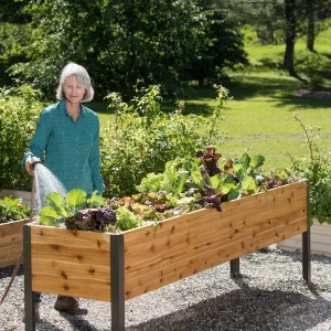 Watering Eco-Stained Elevated Planter Box