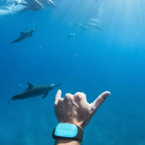 Magnetic Shark Repellent Band for Swimming, Surfing, Diving, Snorkeling and All Ocean Sports