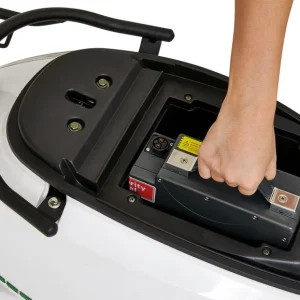 GreenStreet GreenStreet Elektro-Roller »SEED«, mit Lithium-Ionen-Akku, Eco-Modus, 50 km Reichweite