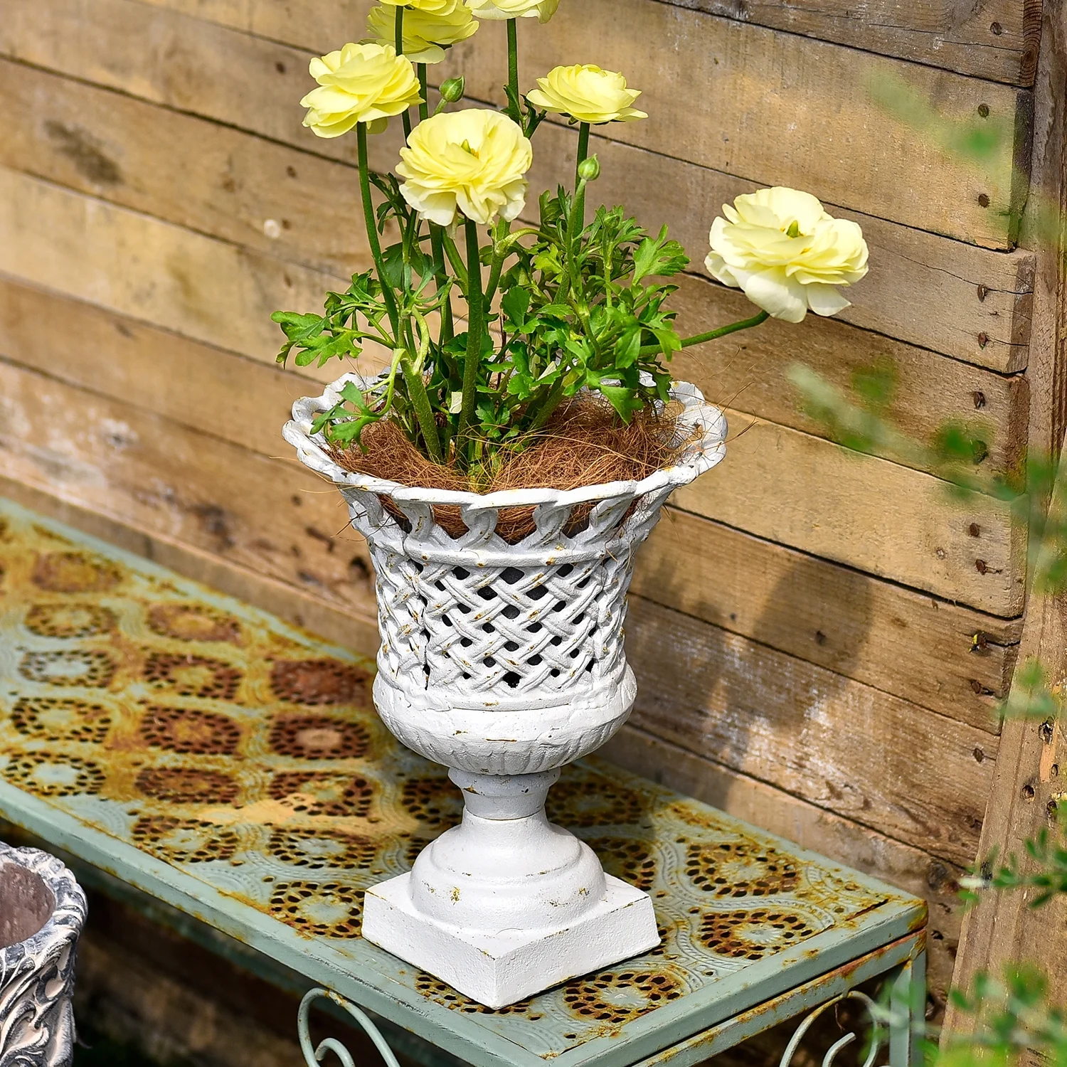 Sungmor Heavy Duty Cast Iron Urn Planter, Beautiful Hollow Trophy Design Tall Orchid Flower Pot, Large Decorative Plastic Flowers Plants Bouquets Vase, Rustic French Country Pot for Home or Garden