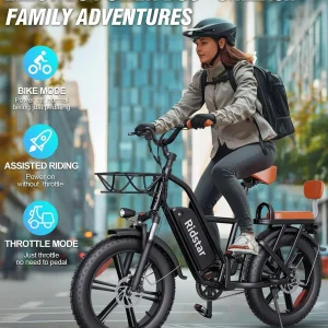 Bopzin 1000W Electric Bicycle for Adults, 48V 15Ah Removable Battery, 20" x 4.0" - 1000W