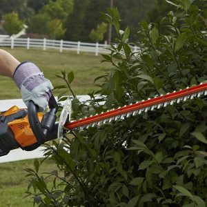 24x22 56V Cordless Hedge Trimmer Wg291