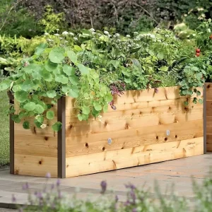 Watering Eco-Stained Elevated Planter Box