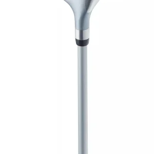 Women's Petite 2021 XL 12-Piece Complete Set - (Graphite)