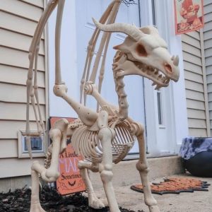 Large 4ft pterosaur skeleton, halloween decoration