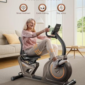 Niceday Recumbent Exercise Bike 400lbs App LCD Heart Monitor