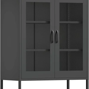 CHSHIN 40" H Blue Metal Storage Cabinet with 2-Mesh Doors for Home,Office,Kitchen,Bar(Width:31.5")