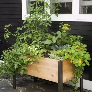 Watering Eco-Stained Elevated Planter Box