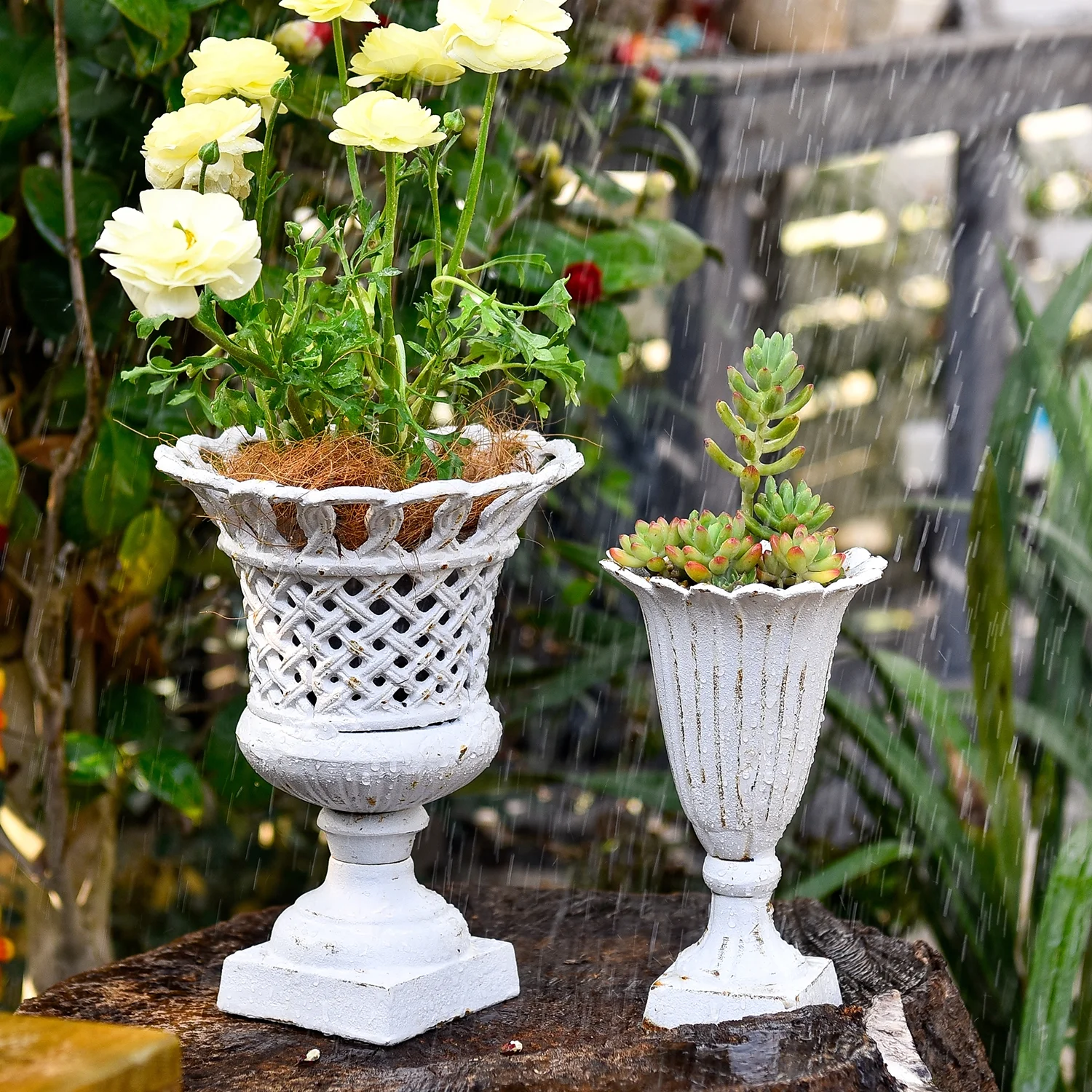Sungmor Heavy Duty Cast Iron Urn Planter, Beautiful Hollow Trophy Design Tall Orchid Flower Pot, Large Decorative Plastic Flowers Plants Bouquets Vase, Rustic French Country Pot for Home or Garden