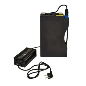 GreenStreet GreenStreet Elektro-Roller »SEED«, mit Lithium-Ionen-Akku, Eco-Modus, 50 km Reichweite