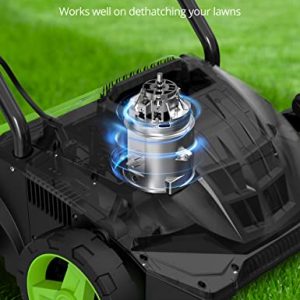 SWIPESMITH 13-Inch 12 Amp Electric Dethatcher Scarifier with Foldable Handle, 2-in-1 Lawn Dethatcher