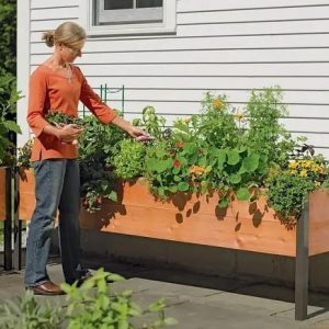 Watering Eco-Stained Elevated Planter Box