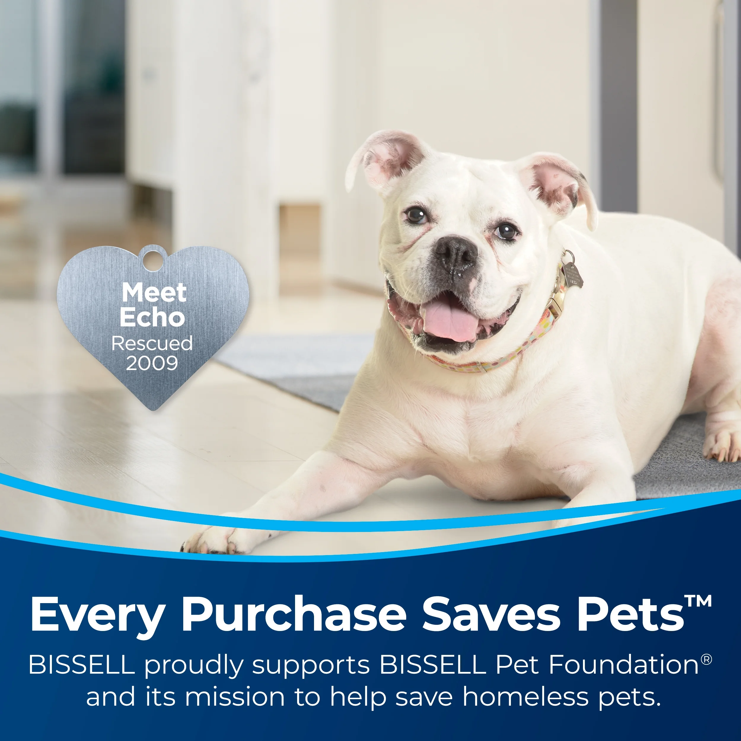 BISSELL Pro Heat 2X Revolution Pet Carpet Cleaner, 3578 & BISSELL Advanced Pro Max Clean + Protect Deep Cleaning Carpet Formula, 50 oz, 70E1