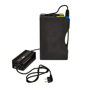 GreenStreet GreenStreet Elektro-Roller »SEED«, mit Lithium-Ionen-Akku, Eco-Modus, 50 km Reichweite