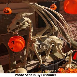 Large 4ft pterosaur skeleton, halloween decoration