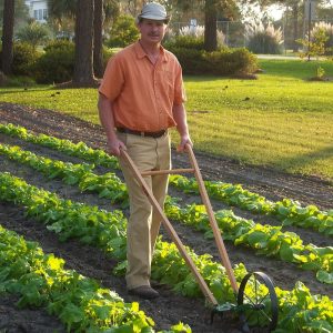 Single Wheel Hoe | Cultivate, Weed, Plow and Maintain Your Garden!
