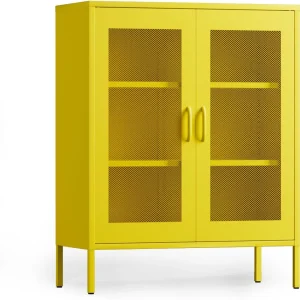 CHSHIN 40" H Blue Metal Storage Cabinet with 2-Mesh Doors for Home,Office,Kitchen,Bar(Width:31.5")